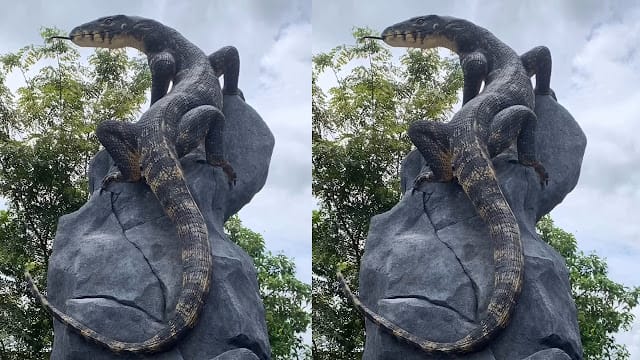 Patung Biawak Karya Seniman Wonosobo Jadi Sorotan karena Mirip Asli