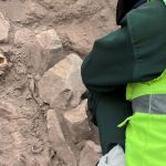 Foto: Seorang arkeolog bekerja di situs penggalian pemakaman pra-Hispanik di samping mumi yang diyakini berasal dari budaya Manchay, yang berkembang di lembah Lima antara 1.500 dan 1.000 SM, di Lima, Peru, 14 Juni 2023. (REUTERS/STRINGER)