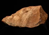 (Foto artefak alat batu tertua di Wallacea, bukti mengejutkan keberadaan hominin 1,5 juta tahun lalu di Sulawesi.)